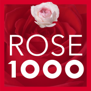 ㈱誠文堂新光社<br>　切り花 バラ図鑑 1000